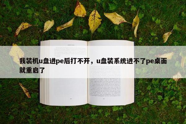 我装机u盘进pe后打不开，u盘装系统进不了pe桌面就重启了