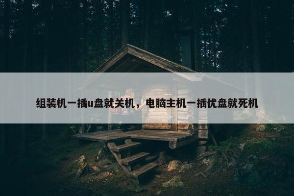 组装机一插u盘就关机，电脑主机一插优盘就死机