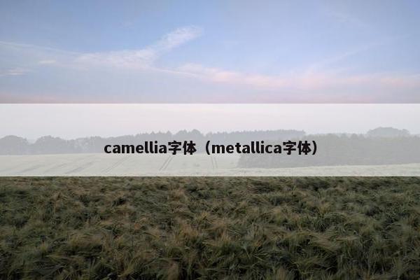 camellia字体(metallica字体) camellia字体(metallica字体)