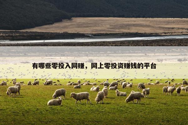 有哪些零投入网赚，网上零投资赚钱的平台