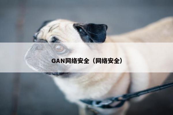 GAN网络安全（网络安全）
