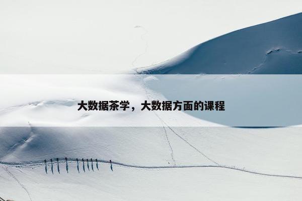 大数据茶学，大数据方面的课程