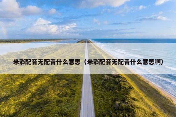 米彩配音无配音什么意思（米彩配音无配音什么意思啊）