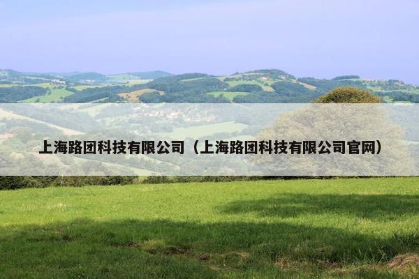 上海路团科技有限公司(上海路团科技有限公司官网) 上海路团科技有限公司(上海路团科技有限公司官网)