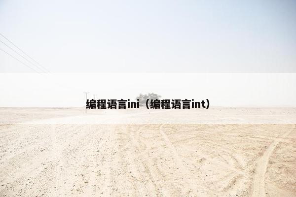 编程语言ini（编程语言int）