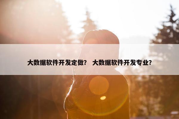 大数据软件开发定做？ 大数据软件开发专业？