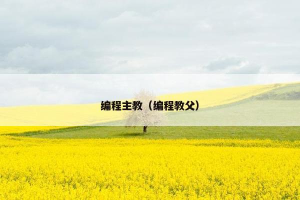 编程主教(编程教父)