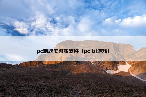 pc端耽美游戏软件（pc bl游戏）