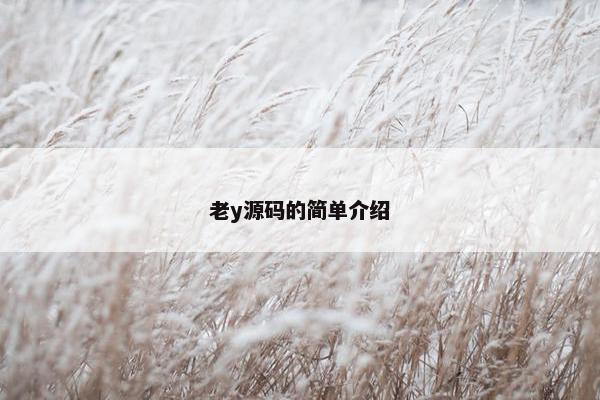 老y源码的简单介绍