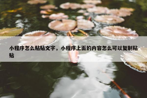 小程序怎么粘贴文字，小程序上面的内容怎么可以复制粘贴