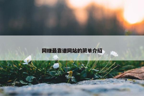 网赚最靠谱网站的简单介绍