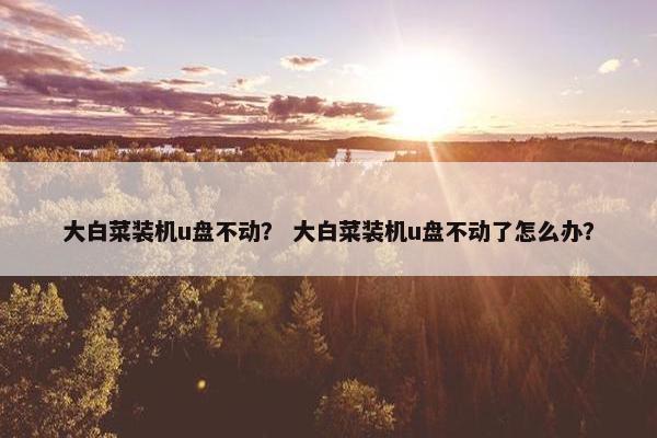 大白菜装机u盘不动？ 大白菜装机u盘不动了怎么办？