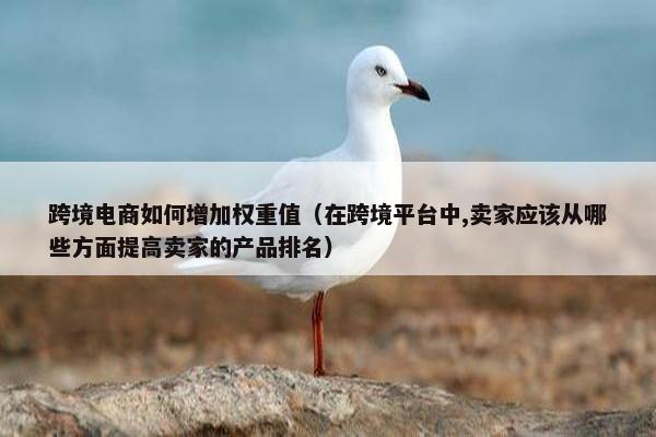 跨境电商如何增加权重值（在跨境平台中,卖家应该从哪些方面提高卖家的产品排名）