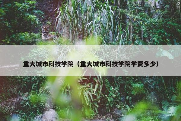 重大城市科技学院(重大城市科技学院学费多少) 重大城市科技学院(重大城市科技学院学费多少)