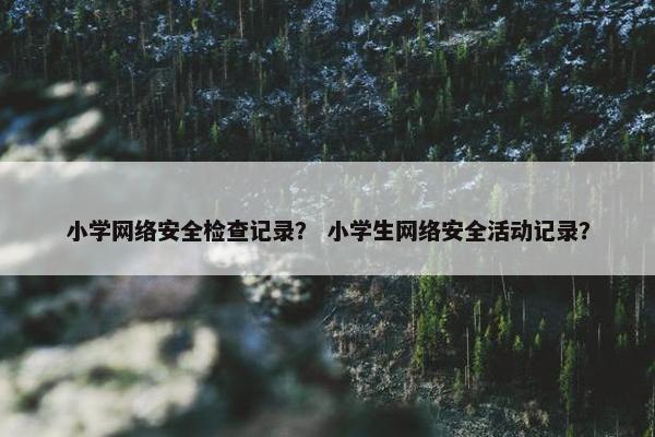 小学网络安全检查记录? 小学生网络安全活动记录?