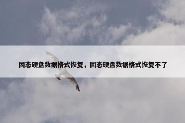 固态硬盘数据格式恢复，固态硬盘数据格式恢复不了