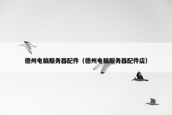 德州电脑服务器配件（德州电脑服务器配件店）