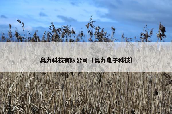 奥力科技有限公司（奥力电子科技）