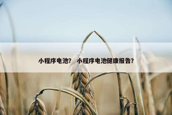 小程序电池？ 小程序电池健康报告？