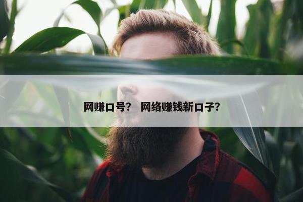 网赚口号？ 网络赚钱新口子？