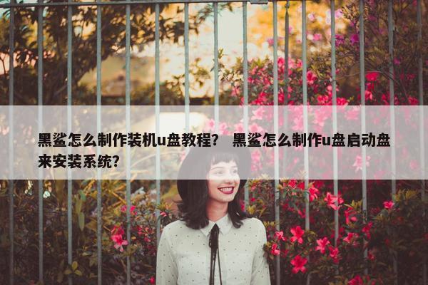 黑鲨怎么制作装机u盘教程? 黑鲨怎么制作u盘启动盘来安装系统?