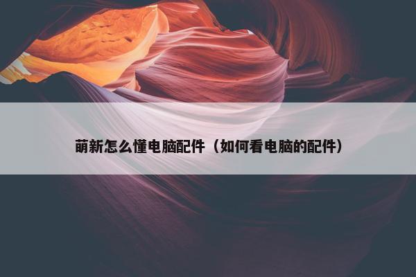 萌新怎么懂电脑配件（如何看电脑的配件）