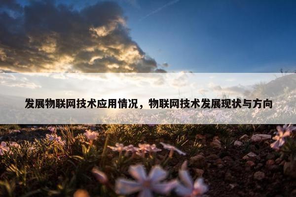 发展物联网技术应用情况，物联网技术发展现状与方向