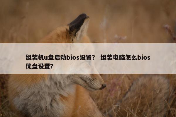 组装机u盘启动bios设置？ 组装电脑怎么bios优盘设置？