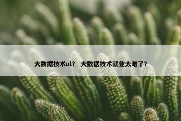 大数据技术ul? 大数据技术就业太难了?