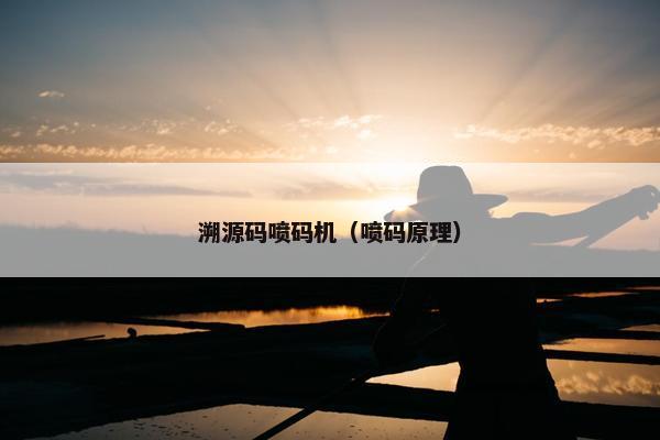 溯源码喷码机（喷码原理）
