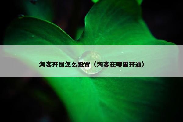 淘客开团怎么设置(淘客在哪里开通)