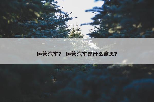 运营汽车？ 运营汽车是什么意思？