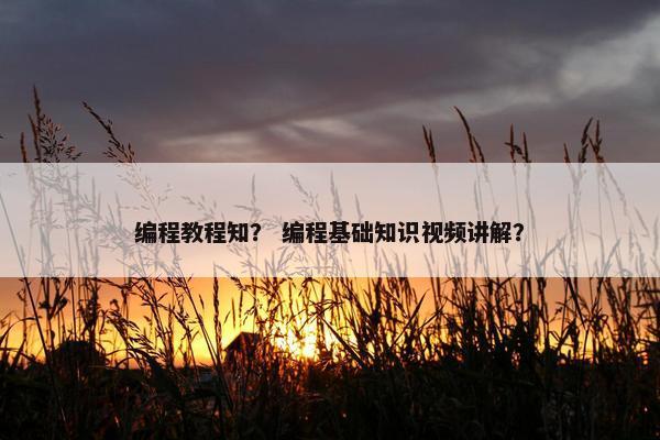 编程教程知? 编程基础知识视频讲解?
