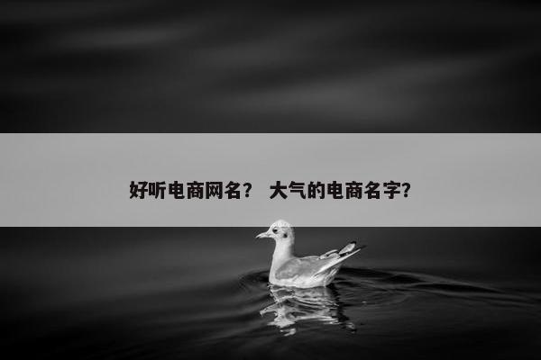 好听电商网名？ 大气的电商名字？