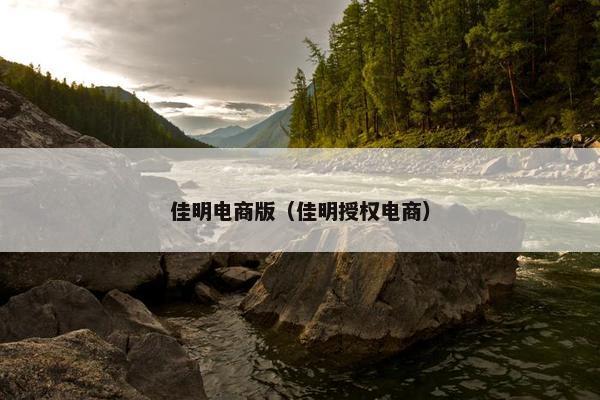 佳明电商版（佳明授权电商）