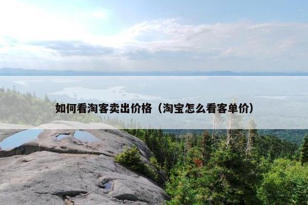 如何看淘客卖出价格（淘宝怎么看客单价）