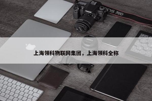 上海领科物联网集团，上海领科全称