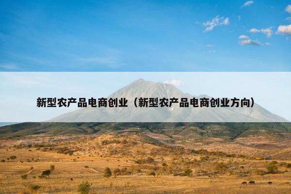 新型农产品电商创业（新型农产品电商创业方向）