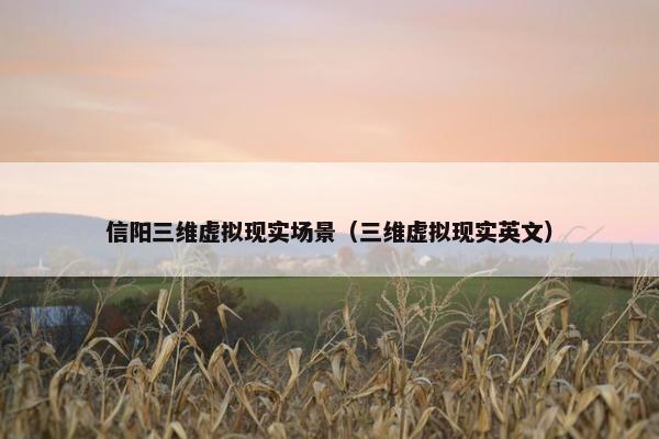 信阳三维虚拟现实场景（三维虚拟现实英文）