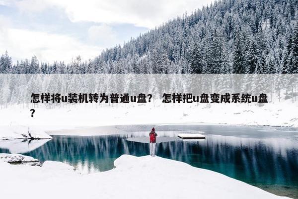 怎样将u装机转为普通u盘？ 怎样把u盘变成系统u盘？