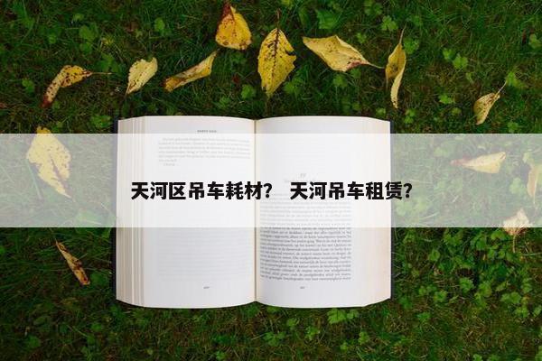 天河区吊车耗材？ 天河吊车租赁？