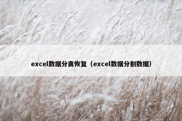 excel数据分离恢复(excel数据分割数据)