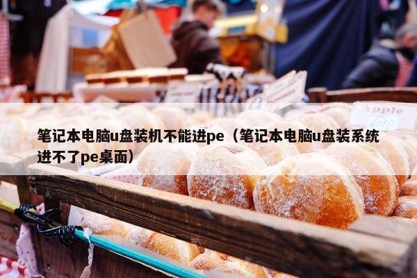 笔记本电脑u盘装机不能进pe（笔记本电脑u盘装系统进不了pe桌面）
