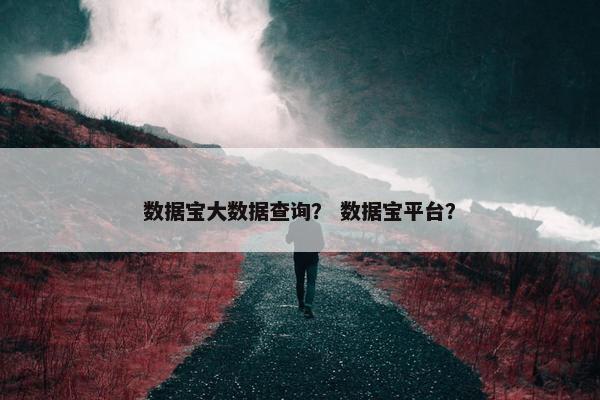 数据宝大数据查询? 数据宝平台?