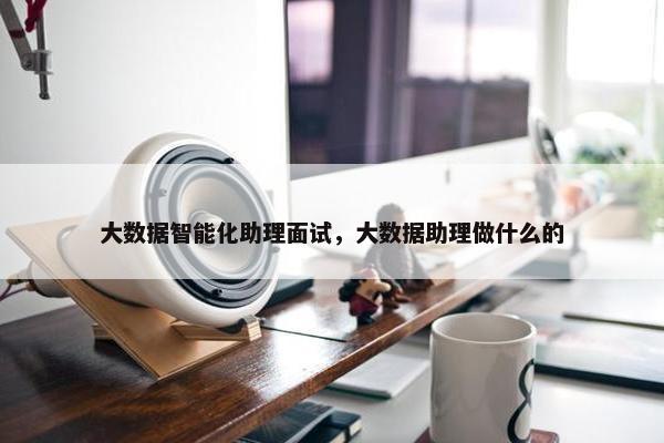 大数据智能化助理面试，大数据助理做什么的