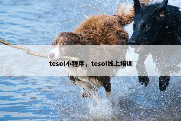 tesol小程序,tesol线上培训