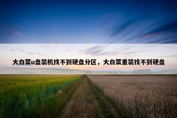 大白菜u盘装机找不到硬盘分区,大白菜重装找不到硬盘