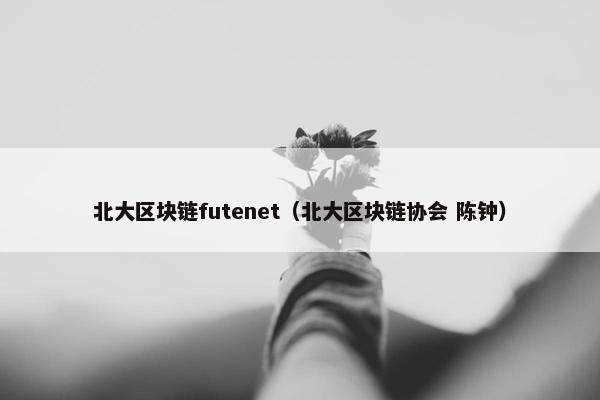 北大区块链futenet(北大区块链协会 陈钟)