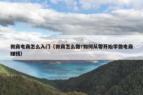 微商电商怎么入门（微商怎么做?如何从零开始学做电商赚钱）