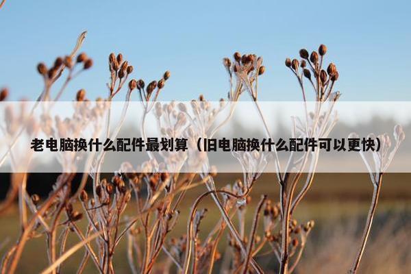 老电脑换什么配件最划算(旧电脑换什么配件可以更快)